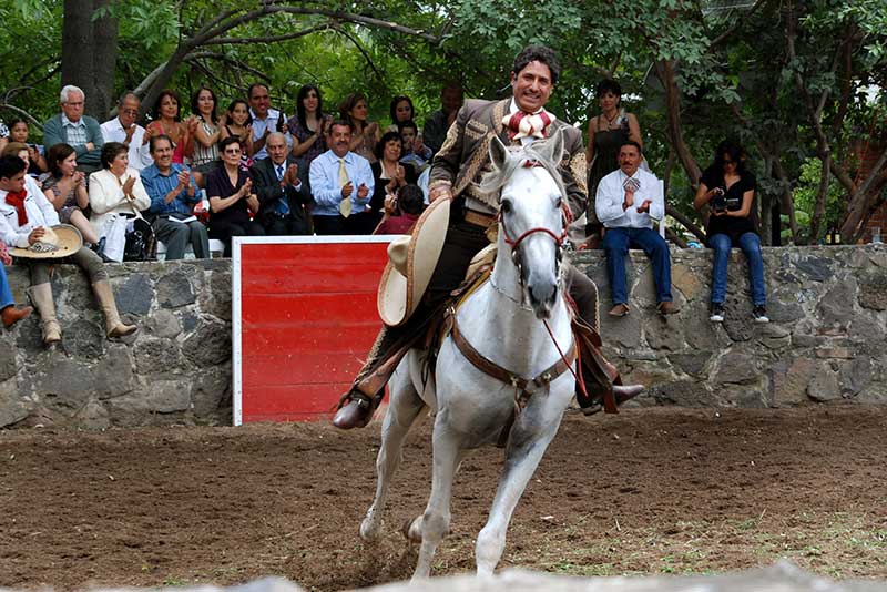 Equestrian